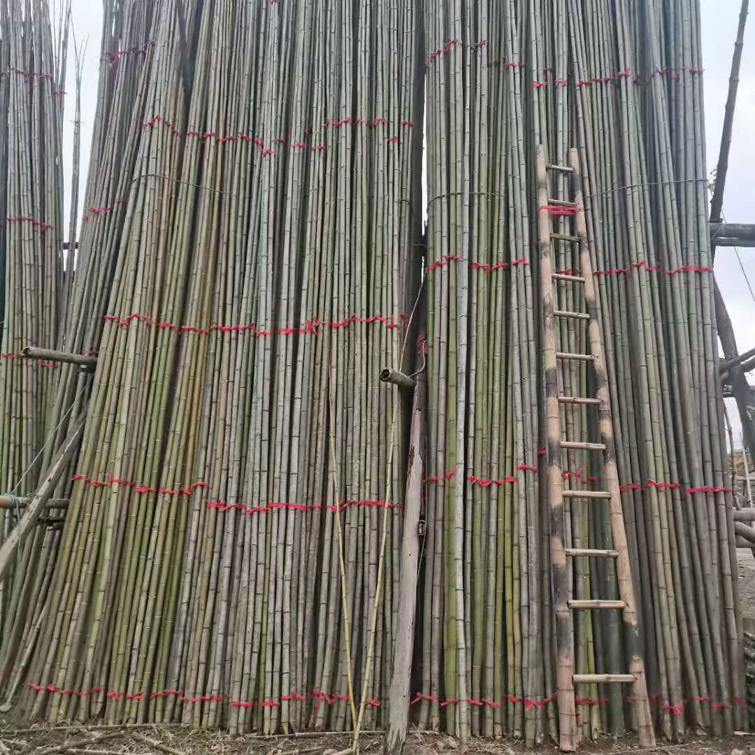 徒手爬6米长的竹竿、挑战8米高的独轮车……这名在南京表演过的杂技演员绝活多，全网圈粉150余万 | 极目新闻